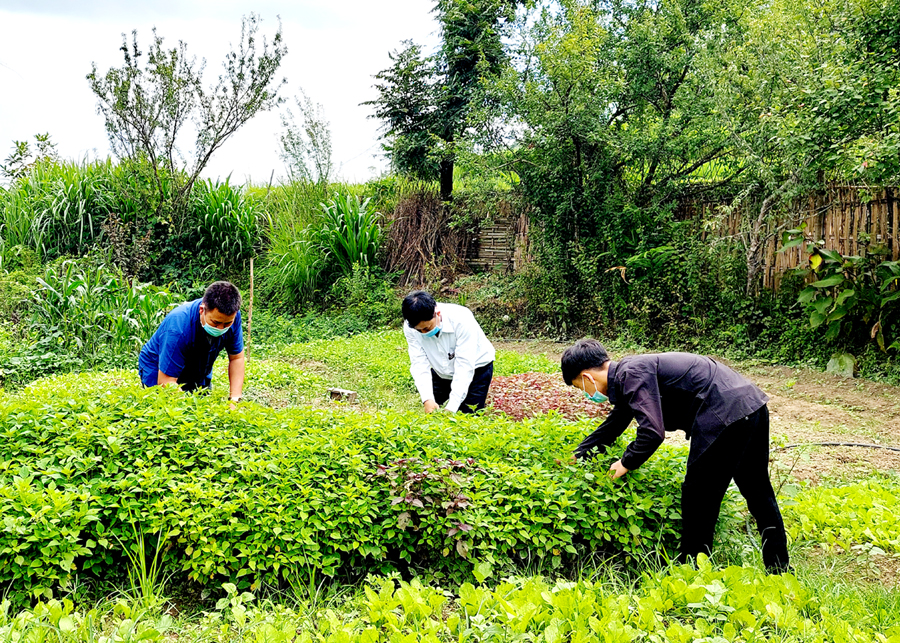 Chương trình cải tạo vườn tạp được người dân thôn Cốc Mưi Thượng, xã Pố Lồ tích cực nhân rộng.
