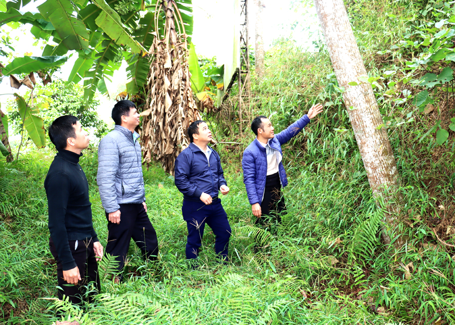 Cán bộ xã Phương Độ kiểm tra hiện trạng rừng trên địa bàn.
