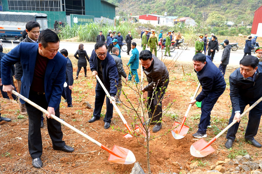 Bí thư Tỉnh ủy Đặng Quốc Khánh cùng các đồng chí lãnh đạo tỉnh và đoàn công tác hưởng ứng Tết trồng cây tại xã Cán Tỷ, huyện Quản Bạ.
