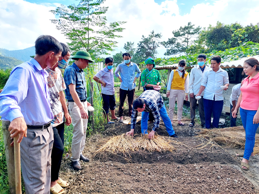 Lãnh đạo phòng NN&PTNT huyện và cán bộ thị trấn Vinh Quang hướng dẫn nhân dân cải tạo vườn tạp.
