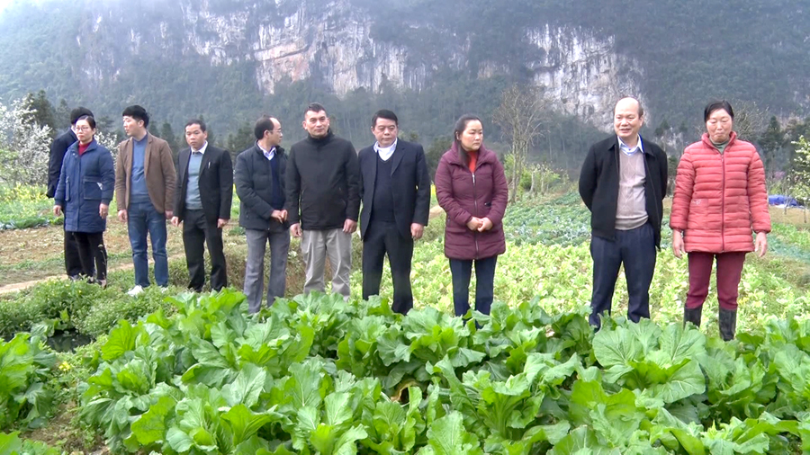  Các đồng chí lãnh đạo huyện kiểm tra mô hình cải tạo vườn tạp tại thị trấn Phố Bảng.        
										                                                   Ảnh: MY LY
