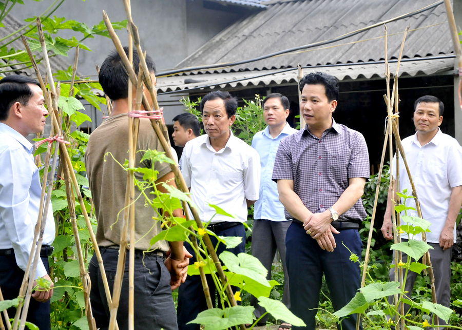 Bí thư Tỉnh ủy Đặng Quốc Khánh và lãnh đạo các sở, ngành thăm mô hình cải tạo vườn tạp tại xã Cán Tỷ (Quản Bạ).