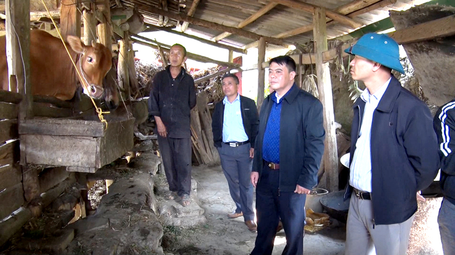 Đồng chí Dinh Chí Thành, Chủ tịch UBND huyện kiểm tra mô hình chăn nuôi tại xã Lũng Cú.                         