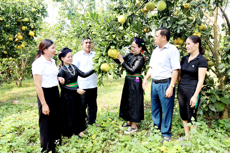 Lãnh đạo xã Việt Hồng tham quan mô hình chuyển đổi cơ cấu cây trồng của đảng viên thôn Hồng Quân.