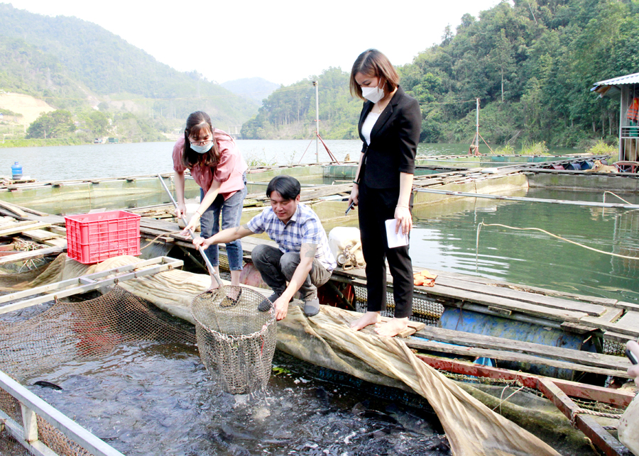Nuôi cá lồng trên lòng hồ thủy điện giúp người dân xã Thuận Hòa (Vị Xuyên) nâng cao thu nhập.
