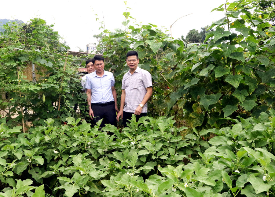 Lãnh đạo huyện Quang Bình kiểm tra Chương trình cải tạo vườn tạp tại thôn Yên Thượng, xã Vĩ Thượng.
