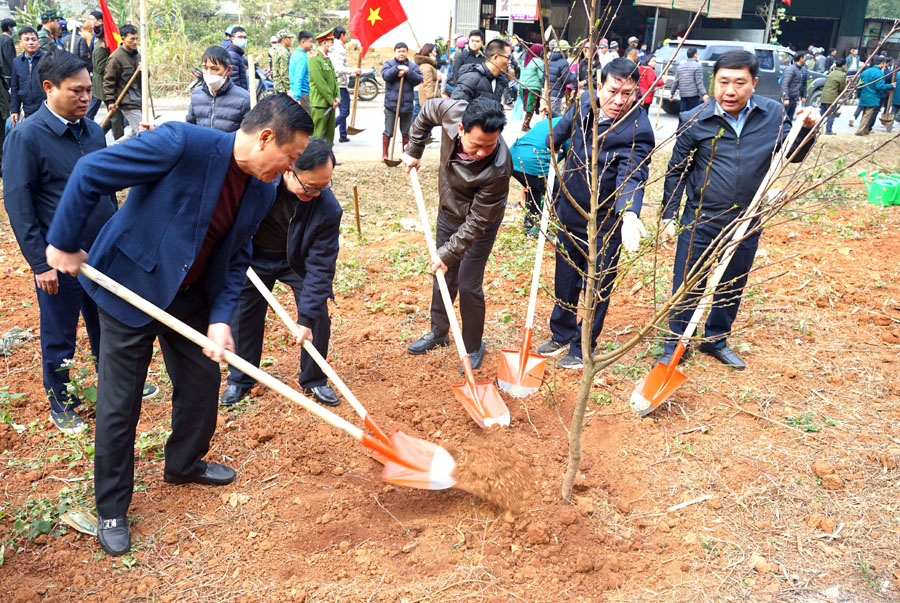 Bí thư Tỉnh ủy Đặng Quốc Khánh cùng các đồng chí lãnh đạo tỉnh và đoàn công tác hưởng ứng Tết trồng cây tại xã Cán Tỷ, huyện Quản Bạ.