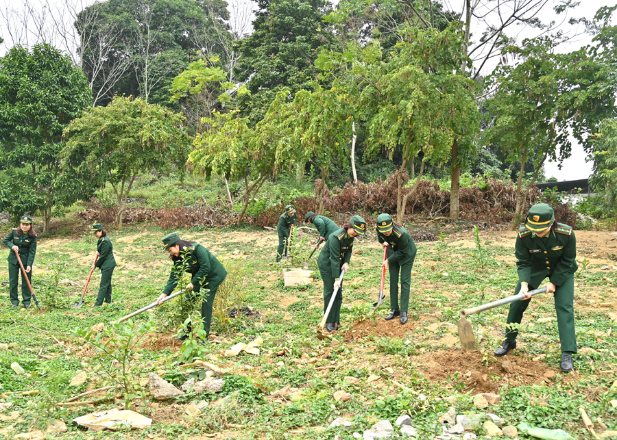 Cán bộ, chiến sĩ BĐBP tỉnh tham gia Tết trồng cây.
