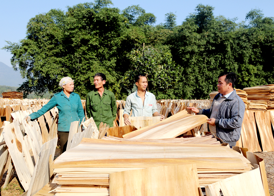 Lãnh đạo thị trấn Việt Quang (Bắc Quang) tham quan mô hình sản xuất ván bóc cho hiệu quả kinh tế cao của đảng viên ở cơ sở.
