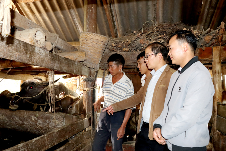 Cán bộ huyện hướng dẫn người dân xã Xín Cái cách chăm sóc gia súc.
