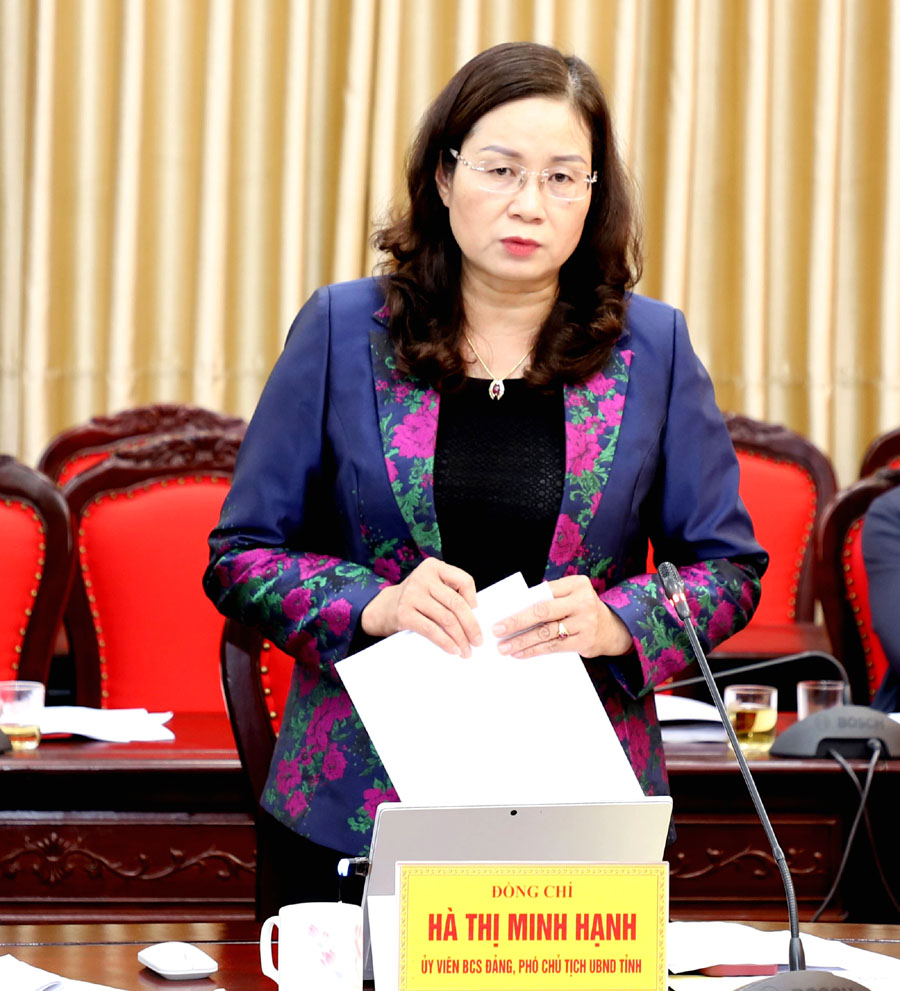 Phó Chủ tịch UBND tỉnh Hà Thị Minh Hạnh đề nghị Sở Y tế bám sát nhiệm vụ, trao đổi chặt chẽ với các ngành trong thực hiện các chương trình, đề án.
