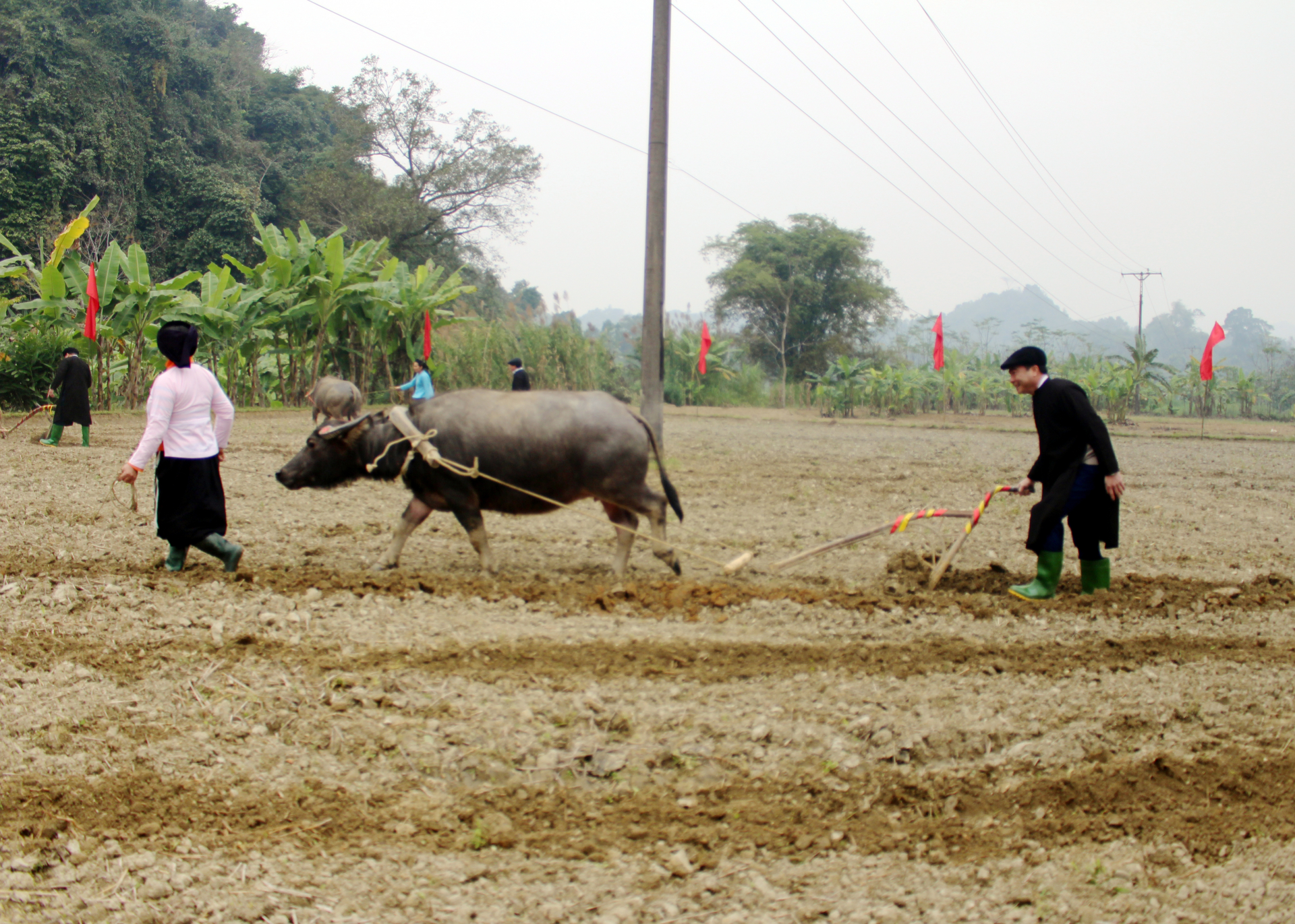 Nghi thức Tịch điền tại xã Xuân Giang.