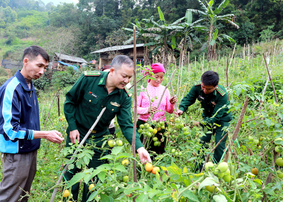 Cán bộ Đồn Biên phòng Nghĩa Thuận kiểm tra tình hình cải tạo vườn tạp của gia đình chị Thào Thị Hoa, thôn Phín Ủng.
