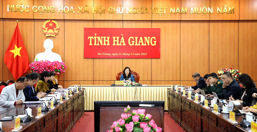 Phó Chủ tịch UBND tỉnh Hà Thị Minh Hạnh chủ trì tại điểm cầu của tỉnh.
