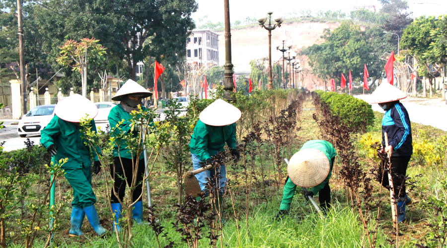 Công nhân Trung tâm Dịch vụ công cộng và Môi trường huyện chăm sóc cây hoa tường vi dọc tuyến đường trung tâm huyện.
