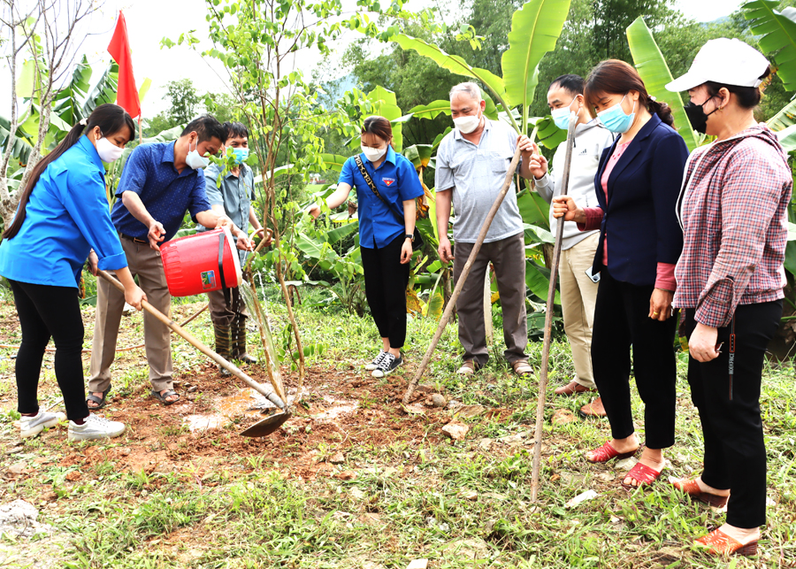 Nhân dân xã Phương Thiện (thành phố Hà Giang) trồng cây cảnh quan.
