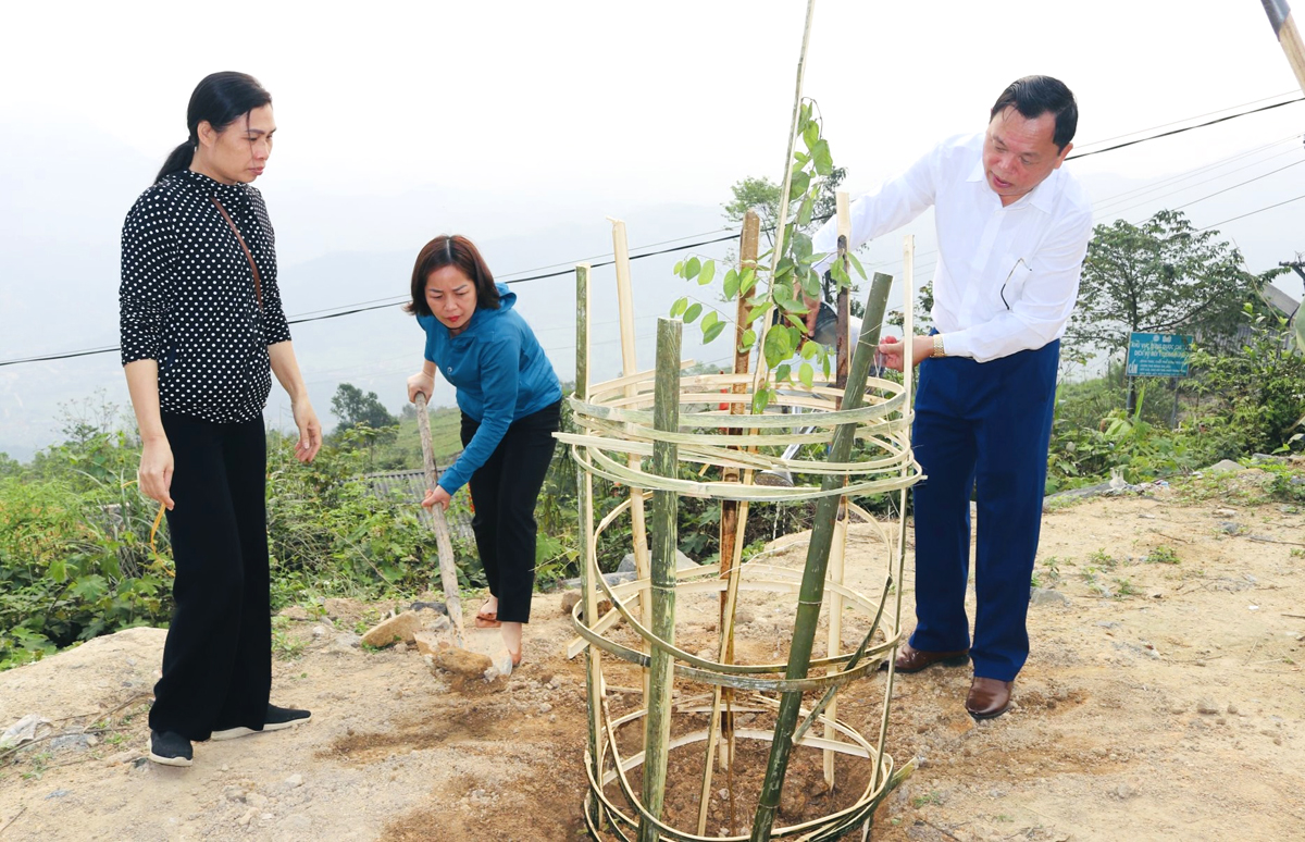 Các đại biểu cùng cán bộ và bà con nhân dân trồng cây Mai anh đào
