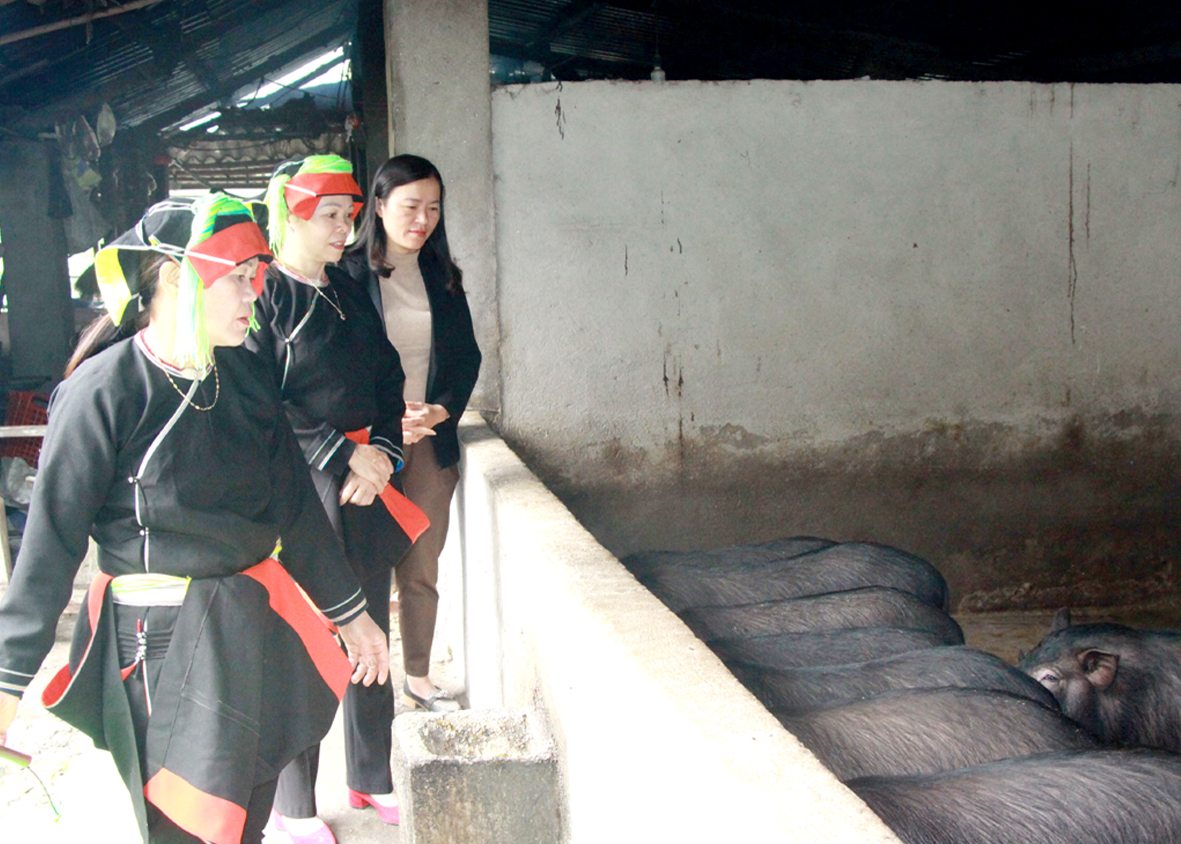 Chị Tráng Thị Hoa (bên trái) nuôi lợn cho thu nhập ổn định.
