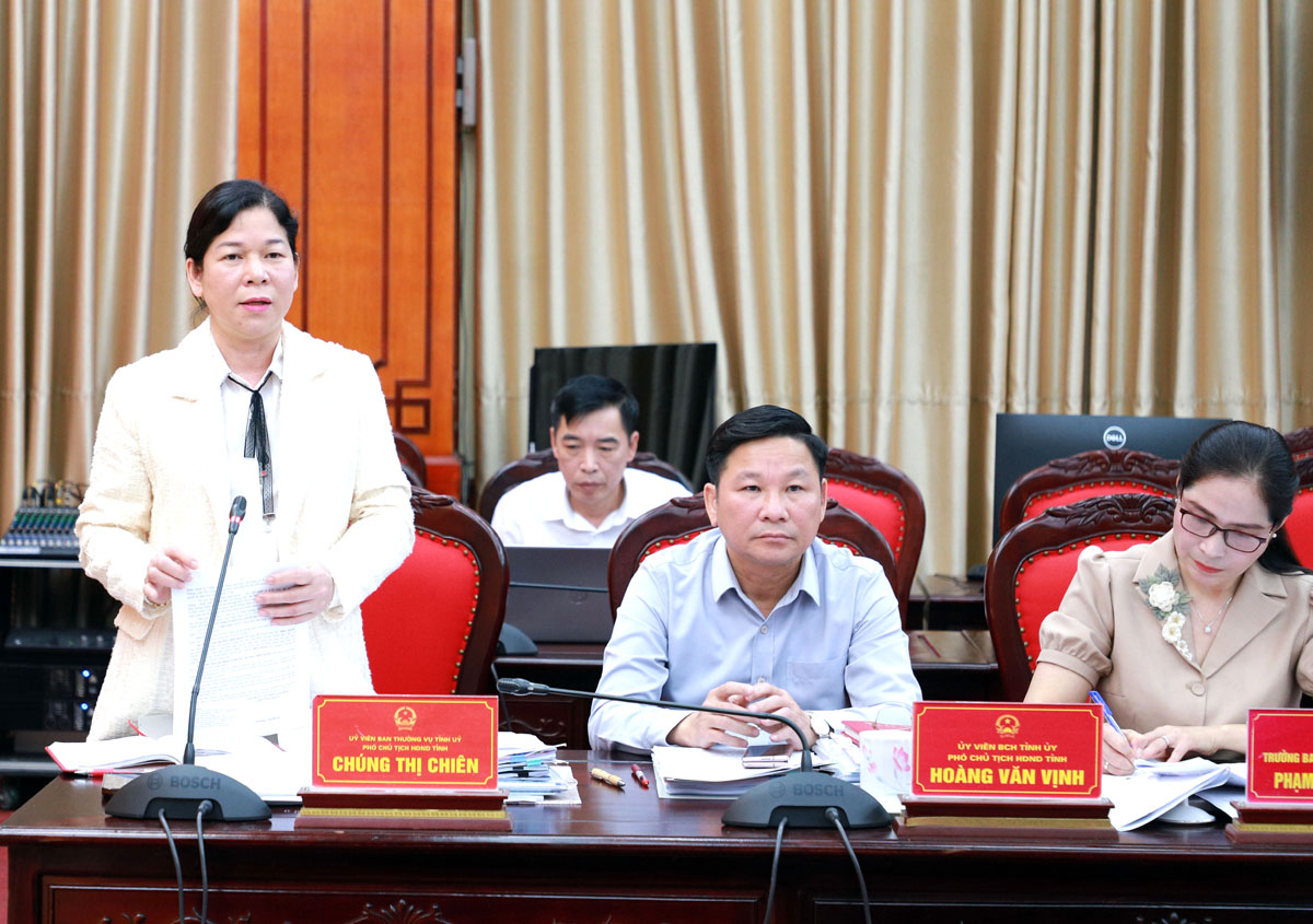 Phó Chủ tịch Thường trực HĐND tỉnh Chúng Thị Chiên thảo luận tại cuộc họp.
