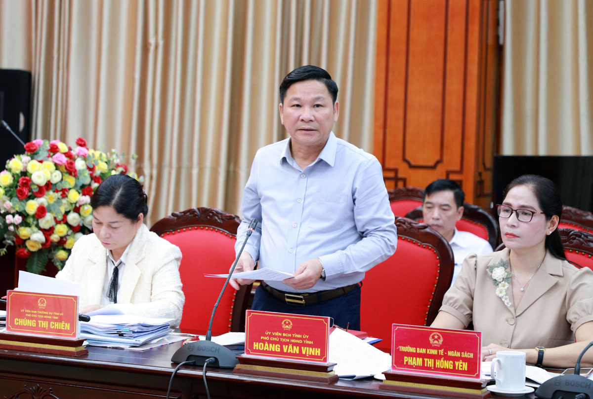 Phó Chủ tịch HĐND tỉnh Hoàng Văn Vịnh thảo luận tại cuộc họp.

