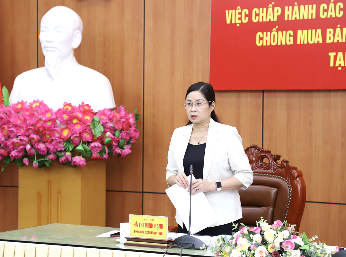 Phó Chủ tịch UBND tỉnh Hà Thị Minh Hạnh phát biểu tại buổi làm việc
