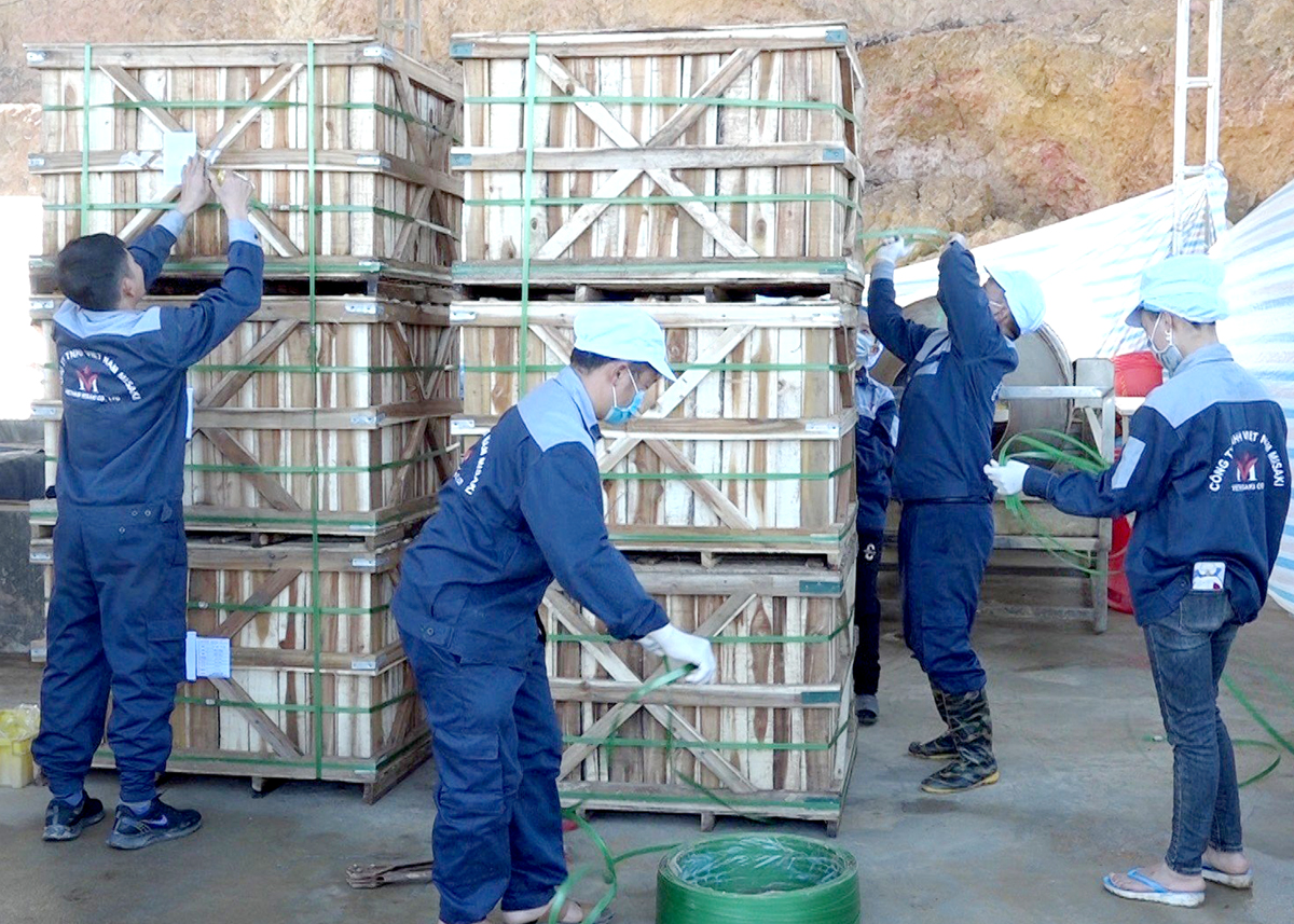 Sản phẩm củ Cải muối của huyện Xín Mần được đóng thùng xuất khẩu sang thị trường Nhật Bản.

