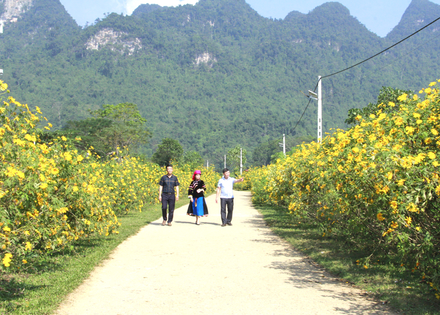 “Dân vận khéo” huy động sức dân xây dựng truyến đường kiểu mẫu rực rỡ sắc hoa Dã quỳ tại xã Phong Quang (Vị Xuyên).
