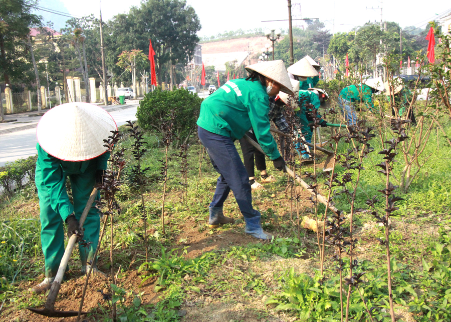Công nhân Trung tâm Dịch vụ công cộng và môi trường huyện Quang Bình chăm sóc hoa Tường Vi.