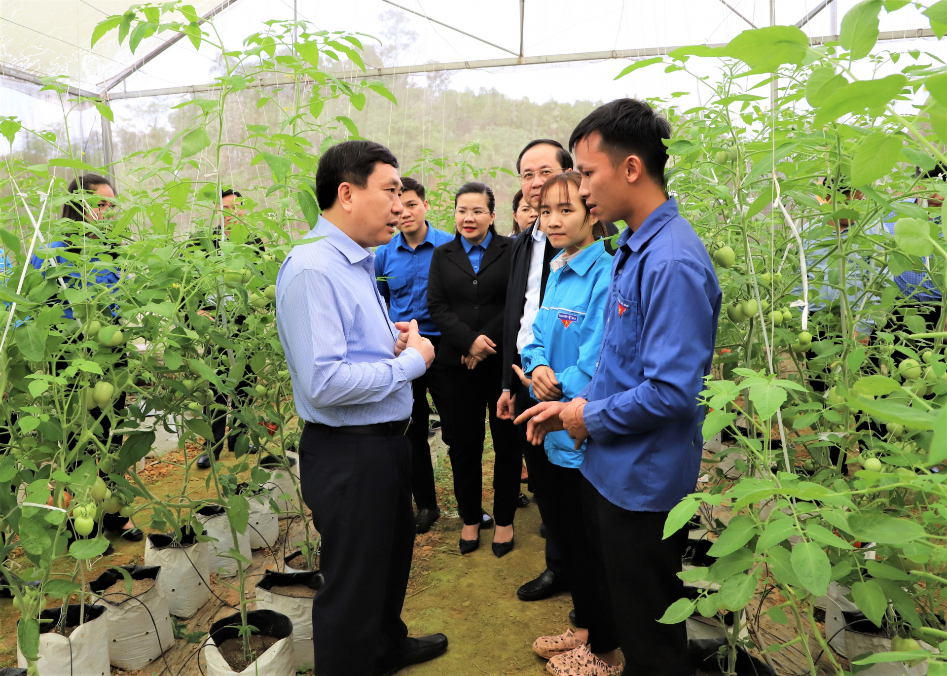 Phó Bí thư Tỉnh ủy Nguyễn Mạnh Dũng thăm mô hình trồng rau, quả nhà lưới của đoàn viên Nguyễn Thanh Chúc, thôn Bế Chiều, xã Quang Minh.