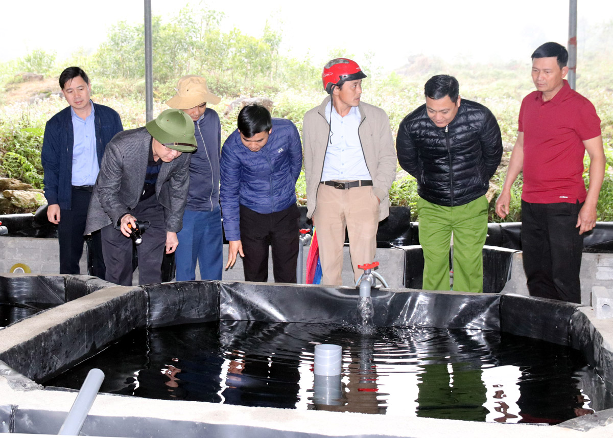 Lãnh đạo huyện Bắc Quang và các ngành chuyên môn tham quan khu vực ươm cá tầm của anh Trần Văn Thiện (người đầu tiên bên phải).