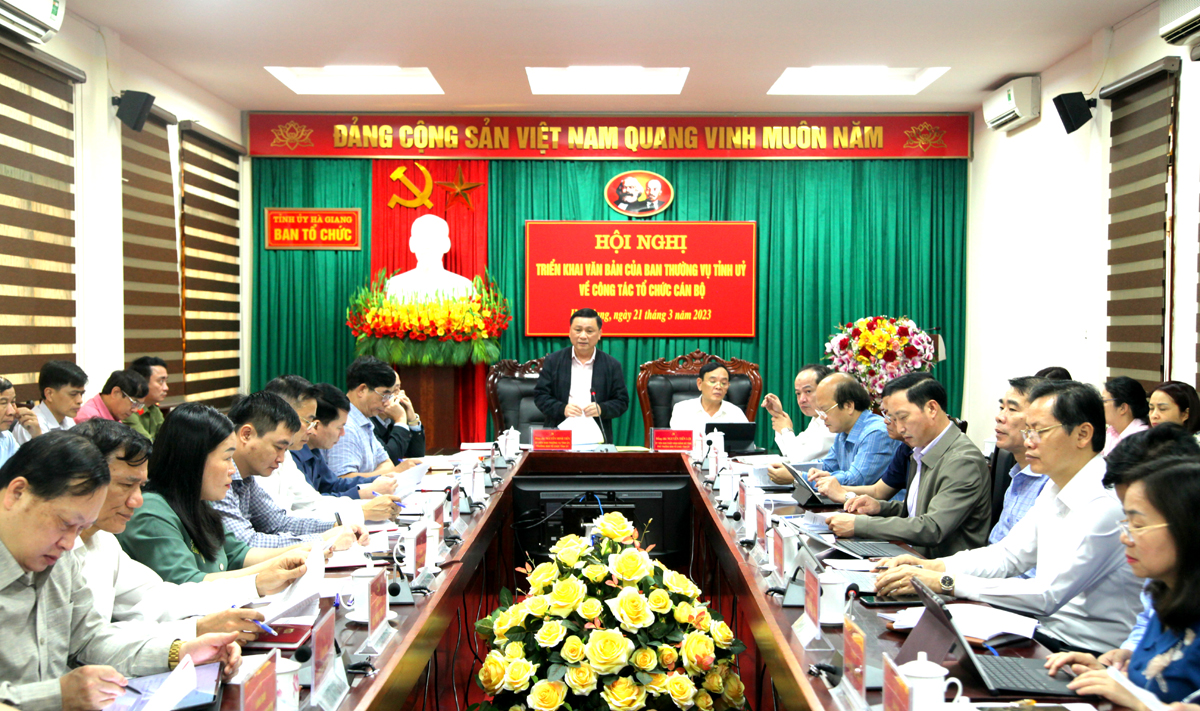 Trưởng Ban Tổ chức Tỉnh ủy Nguyễn Minh Tiến phát biểu kết luận hội nghị.
