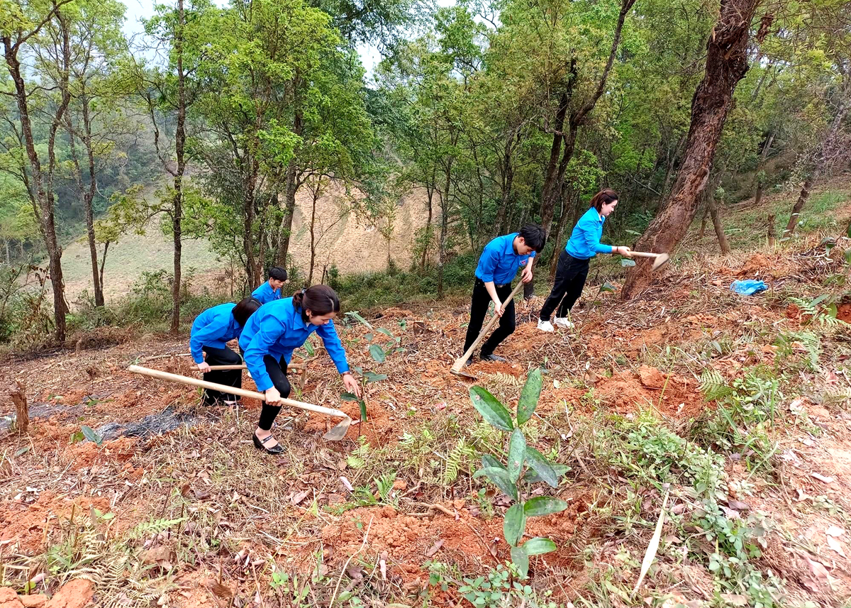 Đoàn viên, thanh niên huyện Mèo Vạc giúp người dân cải tạo vườn tạp.

