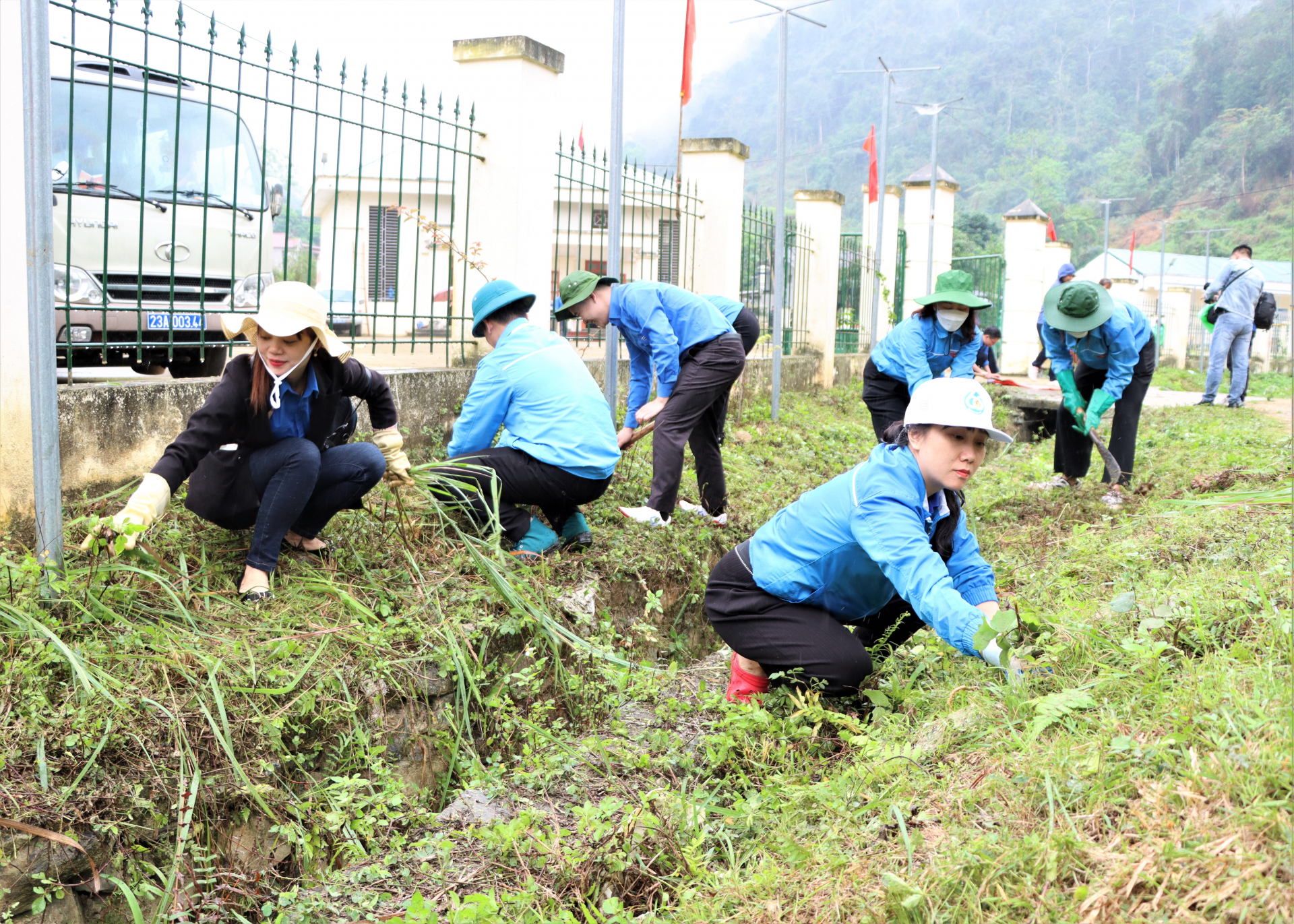 ĐVTN nhổ và phát cỏ.