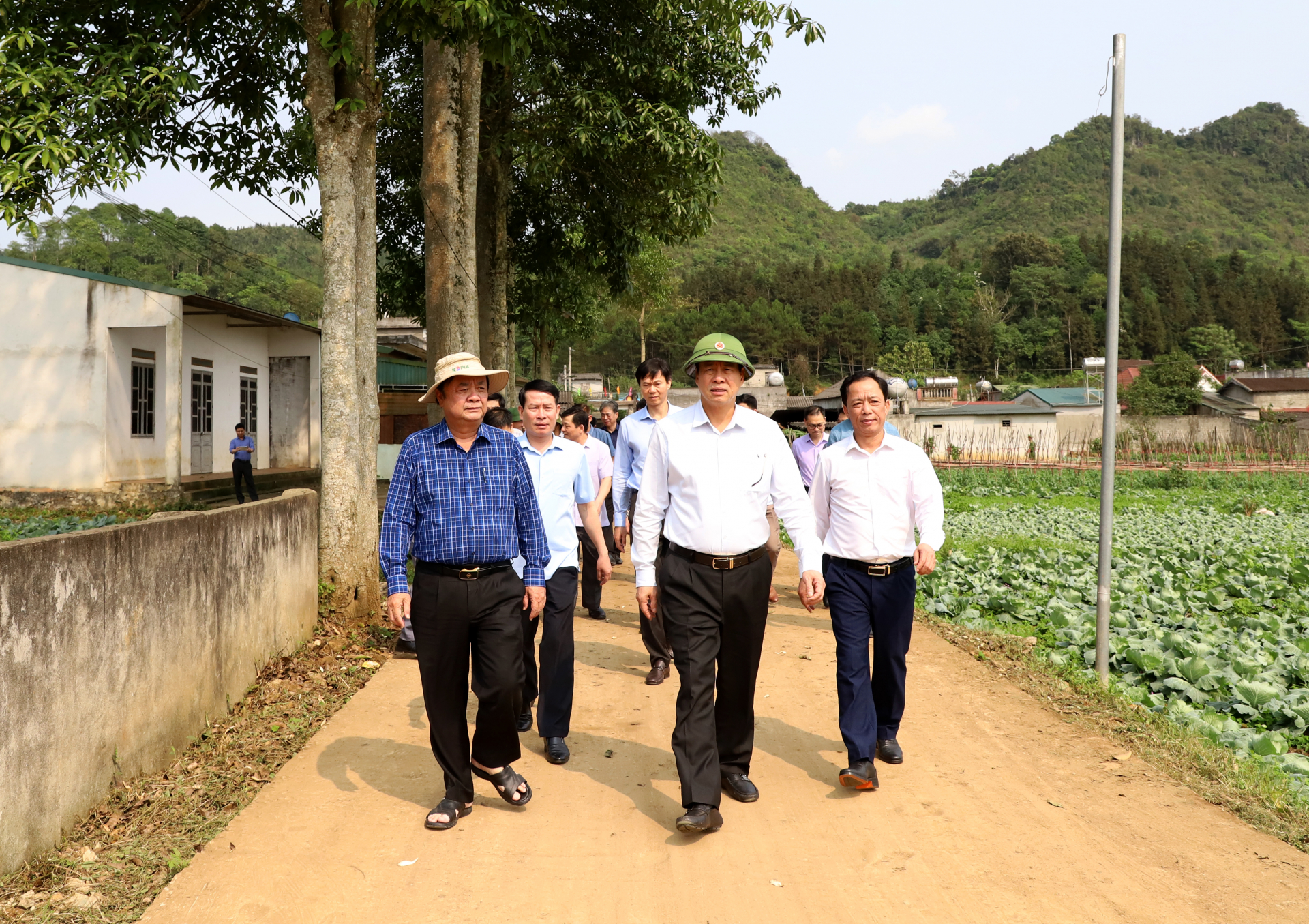 Bộ trưởng Bộ Nông nghiệp và PTNT Lê Minh Hoan và Chủ tịch UBND tỉnh Nguyễn Văn Sơn thăm cánh đồng sản xuất rau, hoa của bà con nông dân thôn Vĩnh Tiến, xã Quyết Tiến (Quản Bạ).