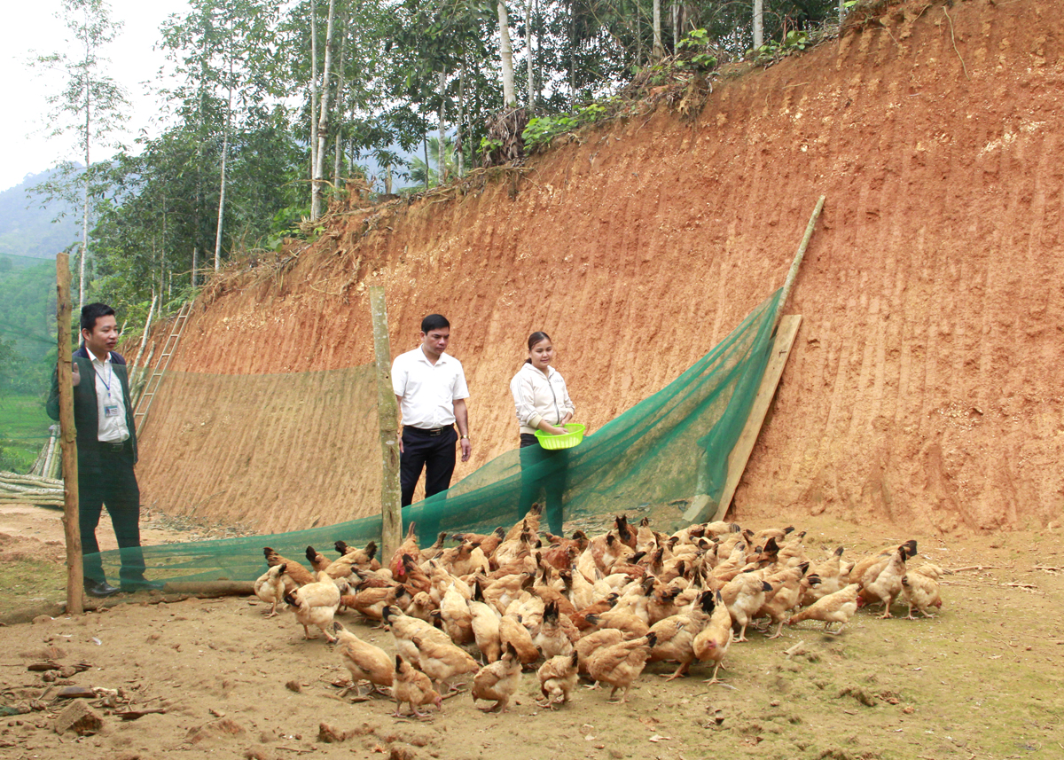 Lãnh đạo xã Phú Linh (Vị Xuyên) kiểm tra, động viên người dân phát triển kinh tế, tin tưởng vào sự lãnh đạo của Đảng.
