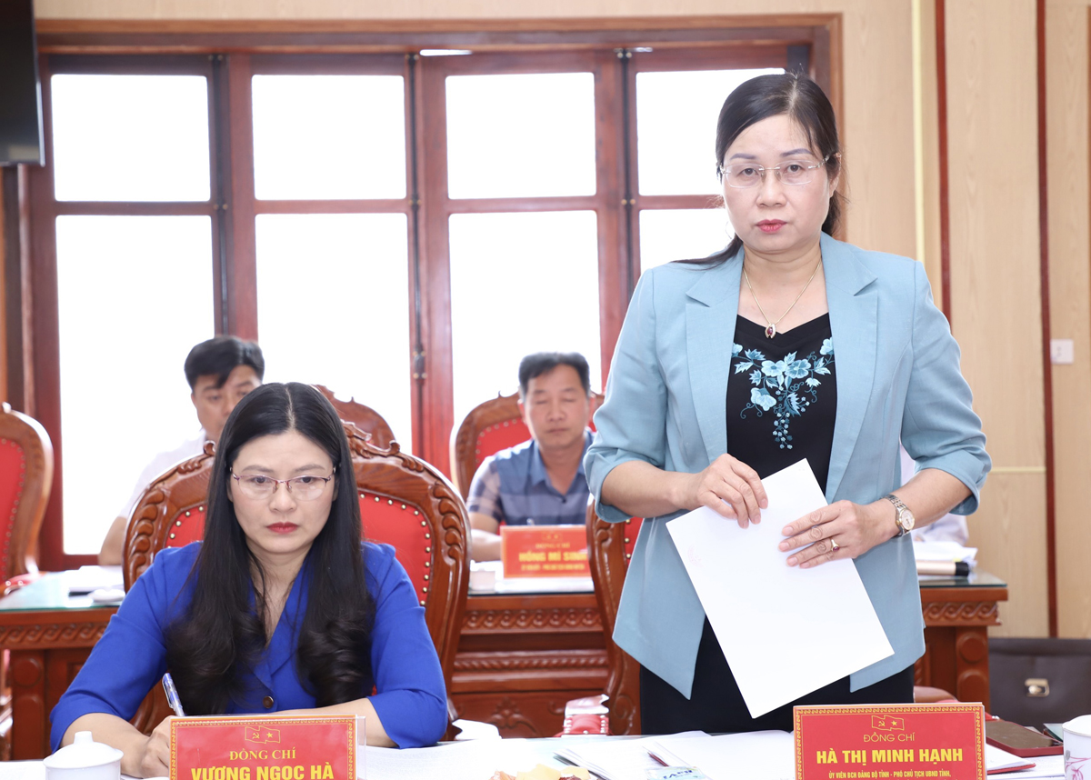Phó Chủ tịch UBND tỉnh Hà Thị Minh Hạnh phát biểu tại buổi làm việc