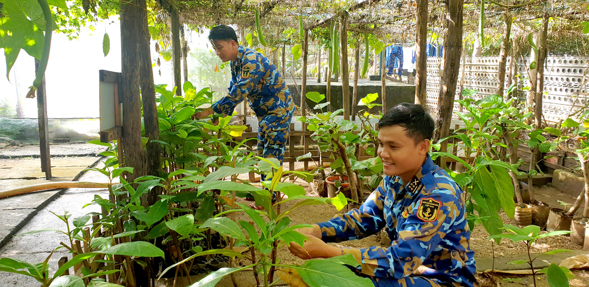 Kiểm tra sự phát triển của cây ở vườn ươm của đảo Trường Sa Đông.