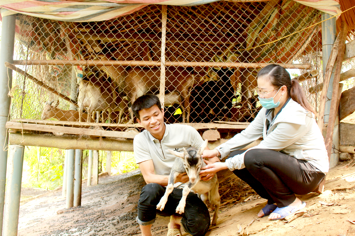 Thanh niên Phùng Văn Quang làm giàu từ mô hình nuôi dê.
