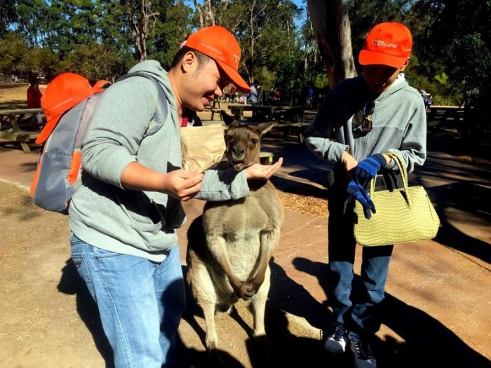 Du khách Việt Nam tham quan tại Australia. 