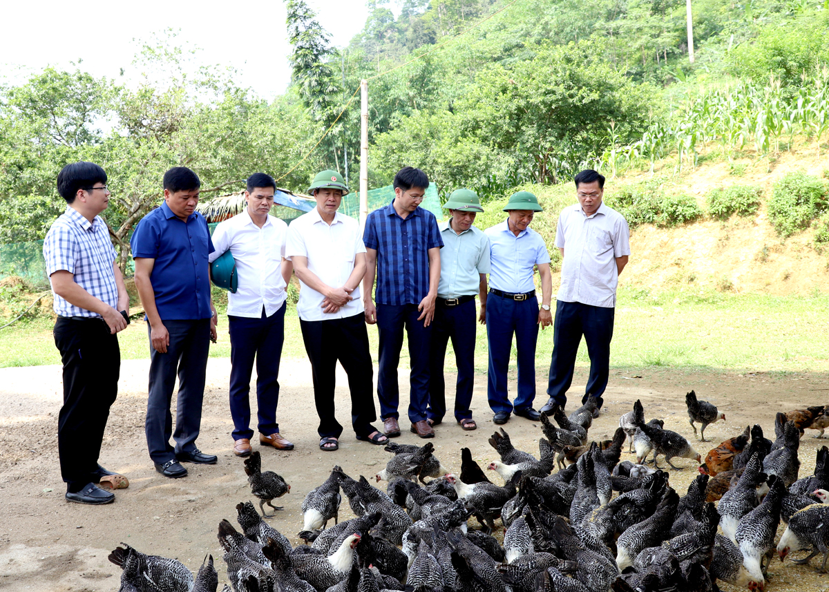 Chủ tịch UBND tỉnh Nguyễn Văn Sơn thăm mô hình nuôi gà siêu trứng của gia đình anh Bàn Văn Chu, thôn Bó Lầm, xã Nà Khương