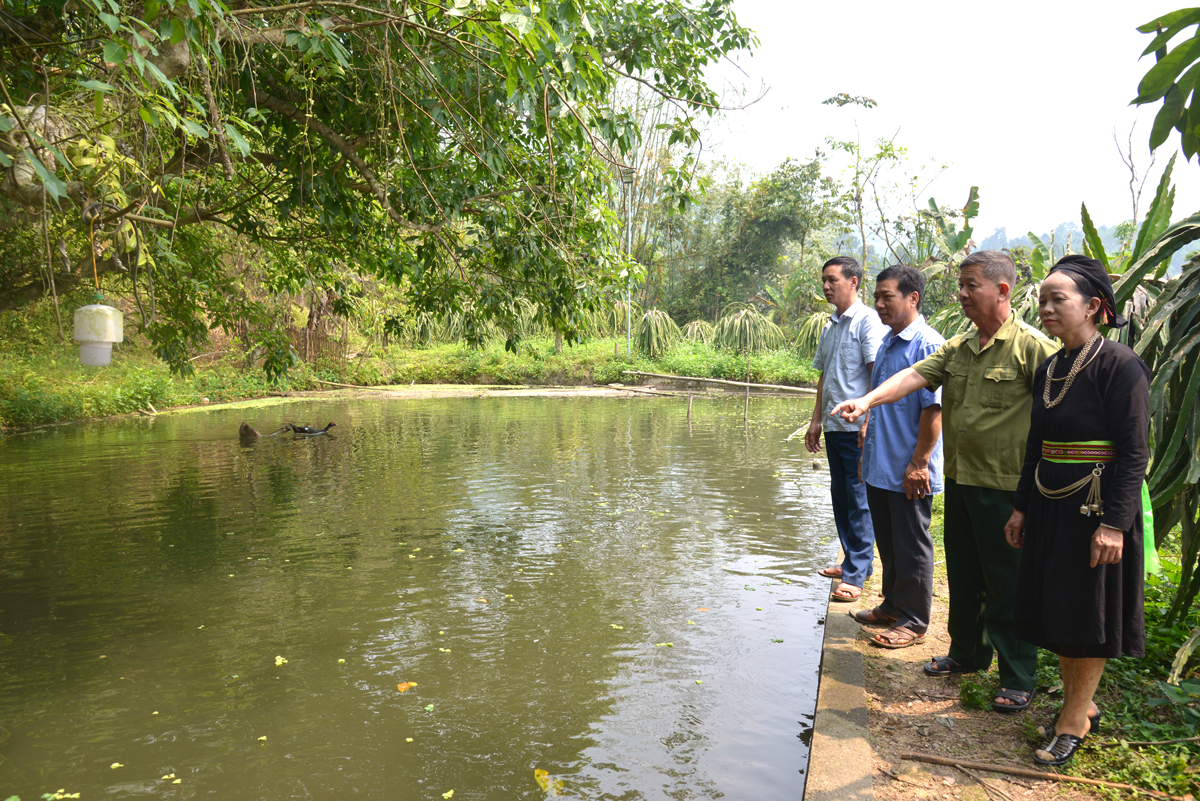 Cán bộ và người dân xã Xuân Giang thăm mô hình nuôi cá của cựu chiến binh Nguyễn Đức Viện.                                                        