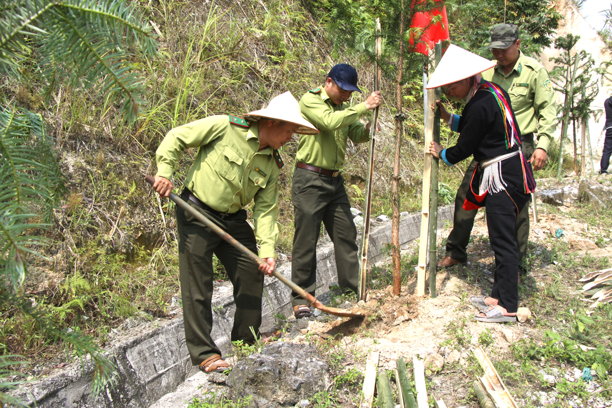 Các ngành chức năng cùng nhân dân trồng cây
