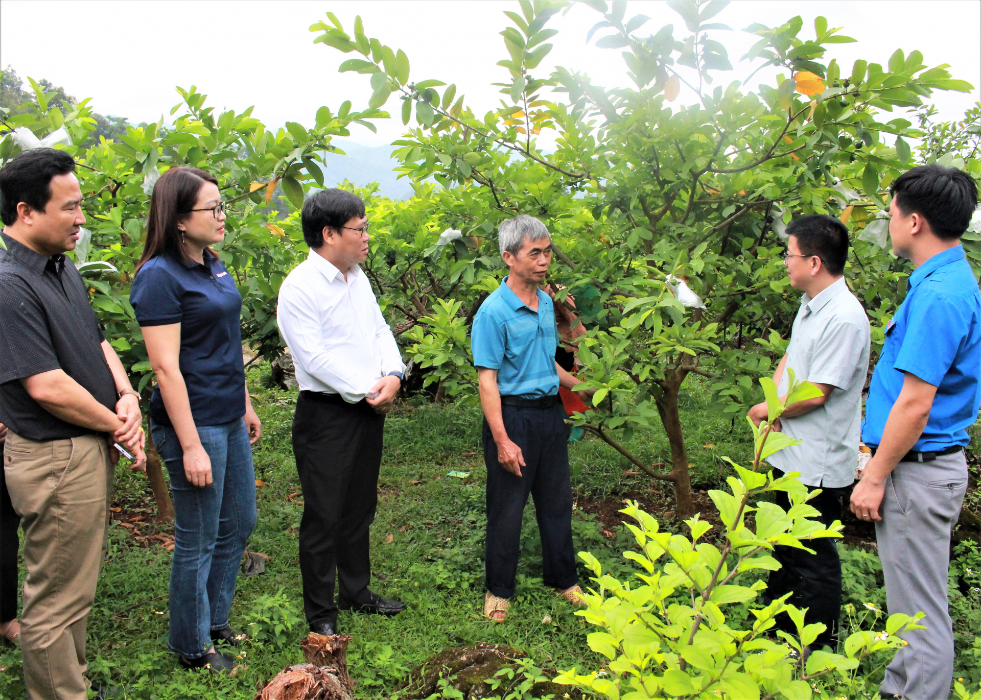 Lãnh đạo 2 đơn vị thăm mô hình cải tạo vườn tạp của hộ ông Ma Xuân Sáng, thôn Tùng Nùn, xã Lùng Tám (Quản Bạ)