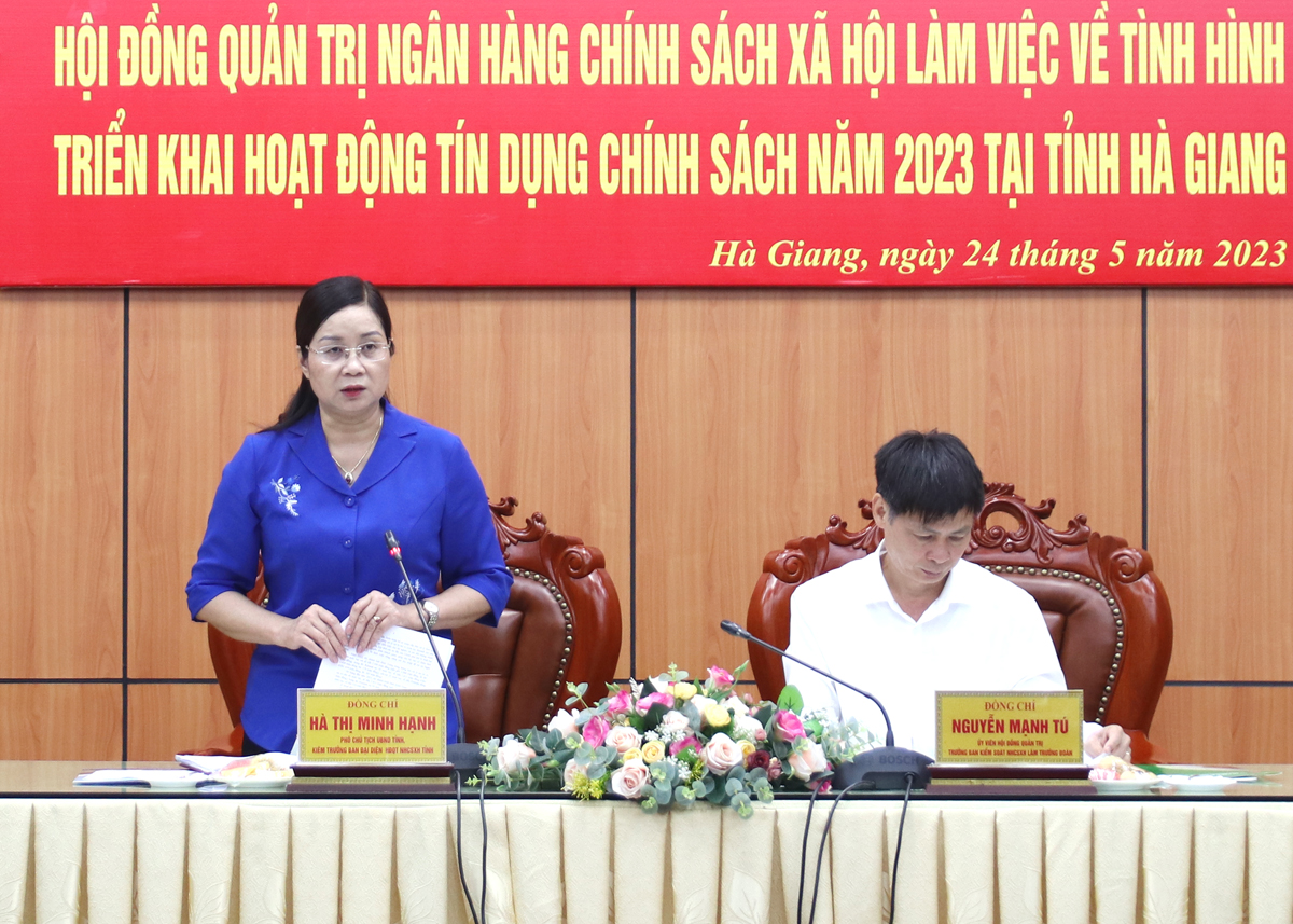 Phó Chủ tịch UBND tỉnh Hà Thị Minh Hạnh phát biểu tại buổi làm việc.
