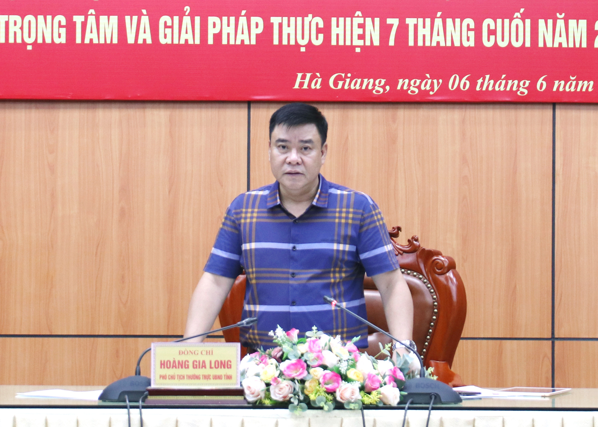 Phó Chủ tịch Thường trực UBND tỉnh Hoàng Gia Long kết luận buổi họp.
