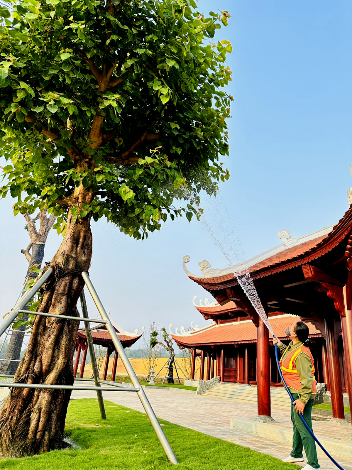 Công viên nghĩa trang Thiên Đường chú trọng phát triển không gian xanh.
