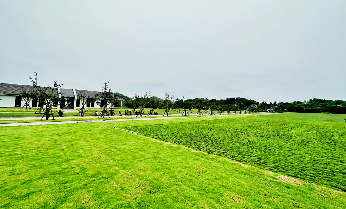 Công viên nghĩa trang Thiên Đường có không gian xanh, được thiết kế theo “tỷ lệ vàng”.
