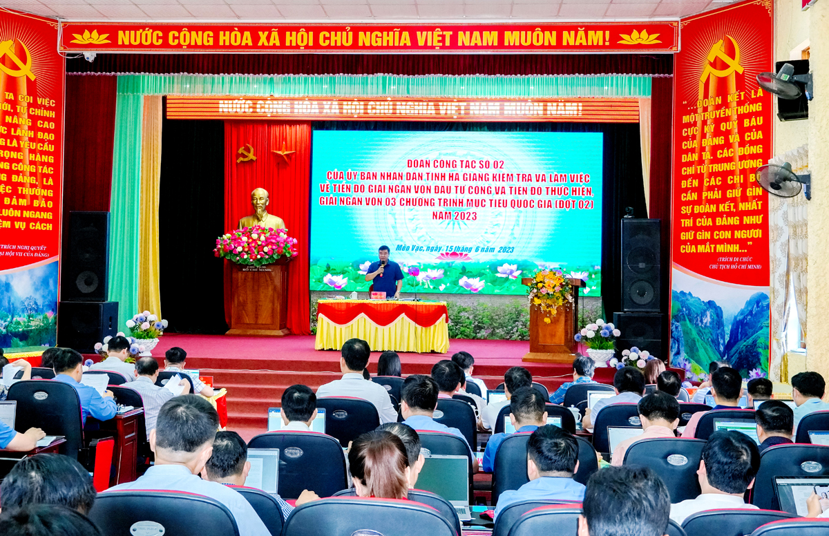 Phó Chủ tịch Thường trực UBND tỉnh Hoàng Gia Long kết luận buổi làm việc.
