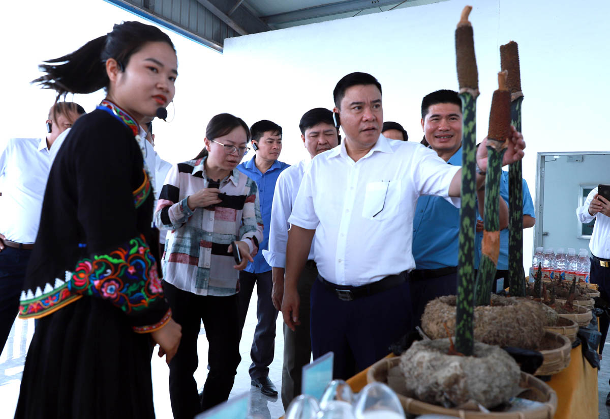 Phó Chủ tịch Thường trực UBND tỉnh Hoàng Gia Long cùng đoàn đại biểu khảo sát Khu chấn hưng nông thôn Malypho 
