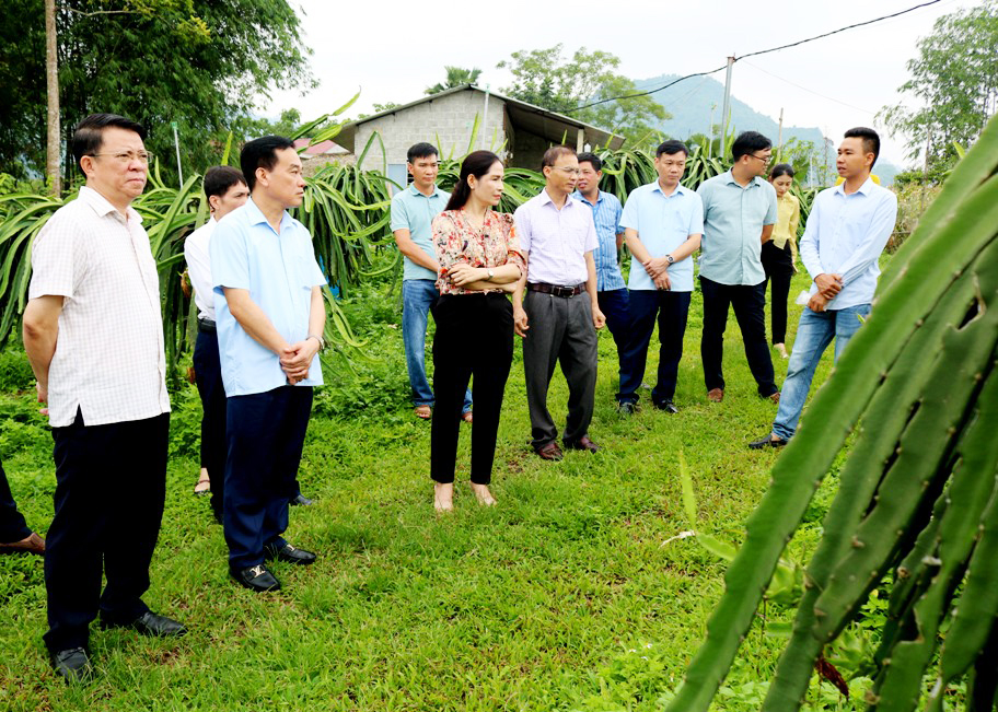 Đoàn giám sát HĐND tỉnh khảo sát việc thực hiện chế độ chính sách tại HTX Thanh Long ruột đỏ, xã Đồng Yên (Bắc Quang)